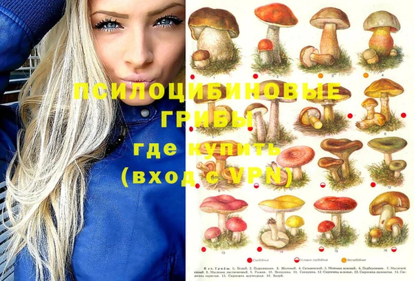 гашишное масло Новодвинск