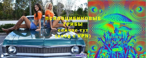 apvp Нягань