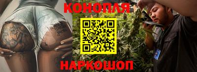 гидропоника Коммунар