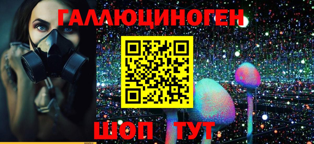 Псилоцибиновые грибы Psilocybine cubensis Тобольск