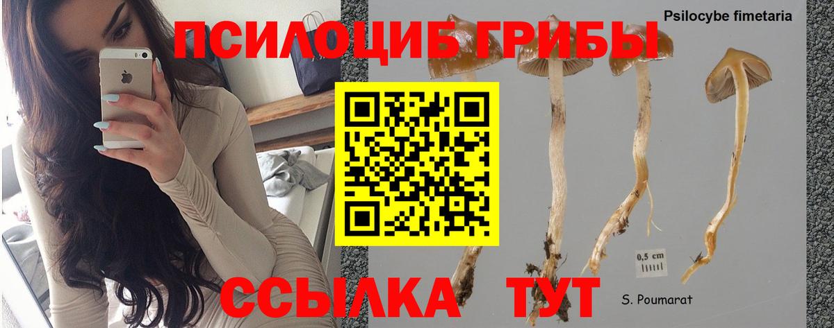 Псилоцибиновые грибы Magic Shrooms  Тобольск  Галлюциногенные грибы ЛСД 